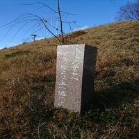 未来の子らへ　この桜より上へ逃げよ (東日本大震災) - 投稿画像0