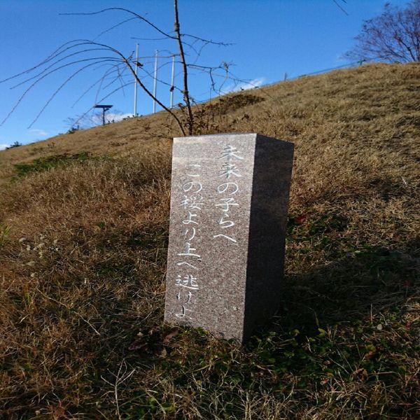 未来の子らへ　この桜より上へ逃げよ (東日本大震災) - おすすめ画像