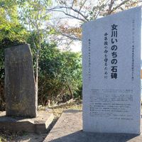 女川いのちの石碑　竹浦 (東日本大震災) - 投稿画像0