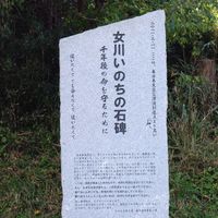 女川いのちの石碑　鷲神 (東日本大震災) - 投稿画像0