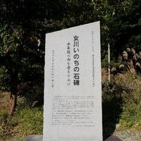 女川いのちの石碑　桐ケ崎 (東日本大震災) - 投稿画像0