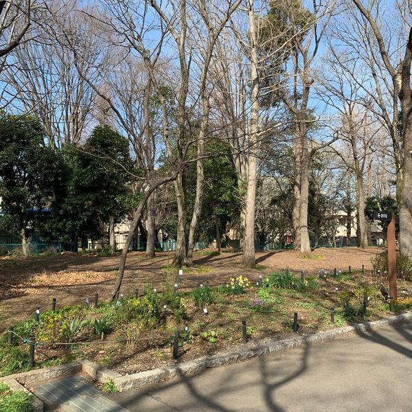 秋留台公園　野草園 - トップ画像