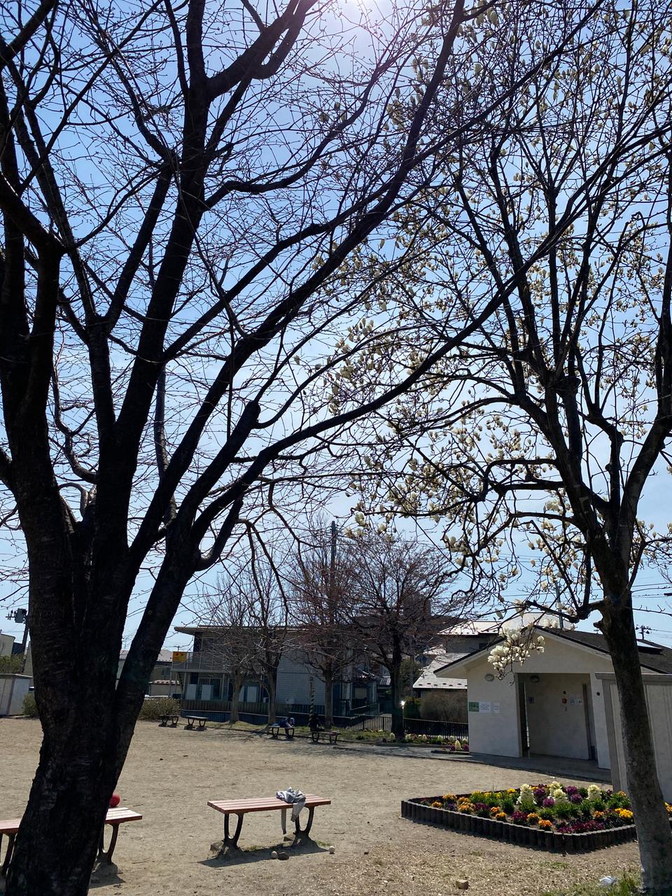 泉崎二丁目公園（公園） | MEQQE（めっけ）