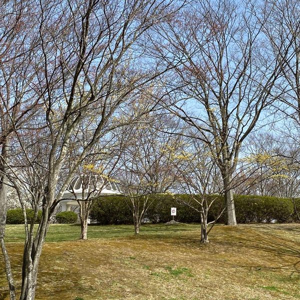 七北田公園 - おすすめ画像