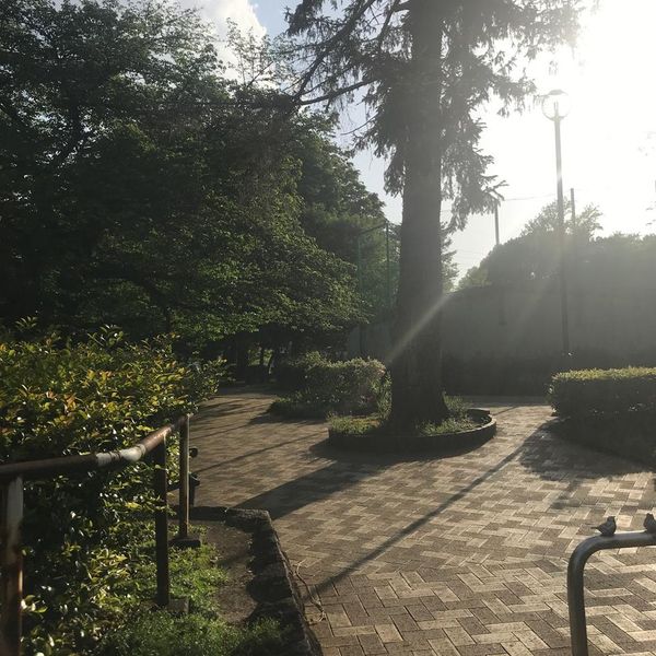 緑町中央公園 - トップ画像