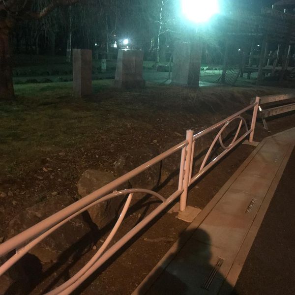 中央公園 - トップ画像