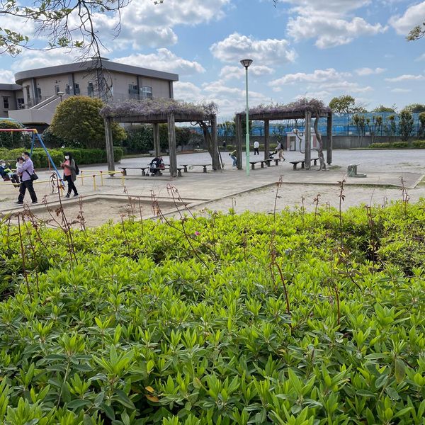 ふれあい公園 - トップ画像