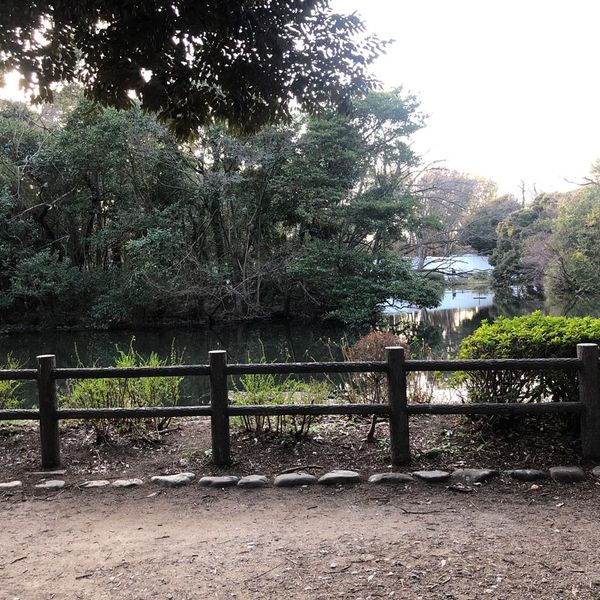 和田堀公園 - トップ画像