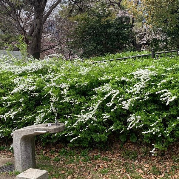 清水谷公園 - トップ画像