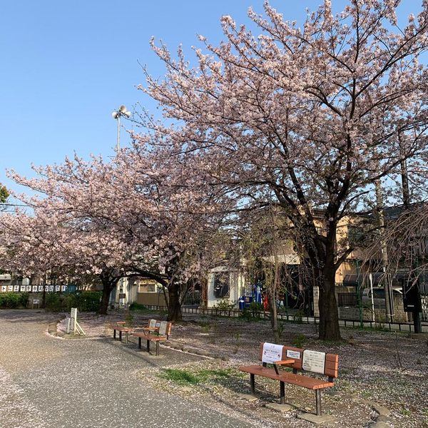 西六郷三丁目公園 - おすすめ画像