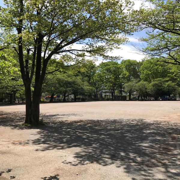 成増北第一公園 - おすすめ画像