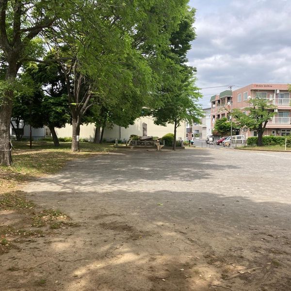 樫ノ木公園 - トップ画像