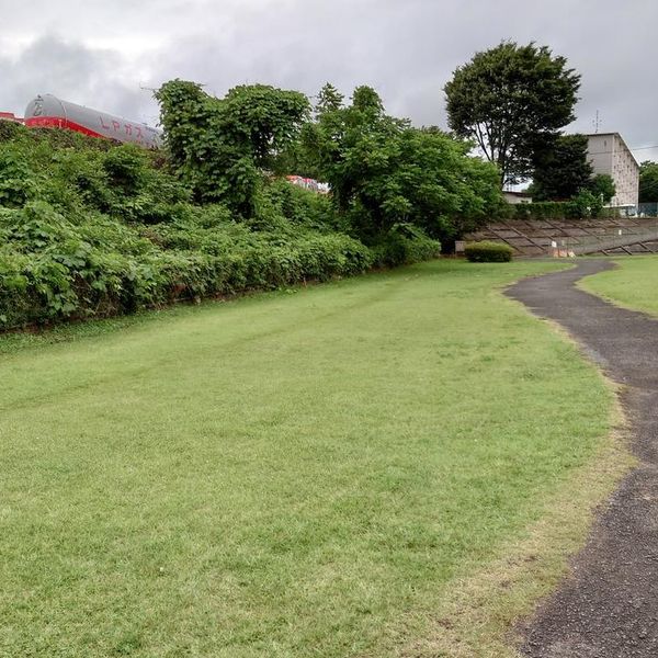 諏訪浅川公園 - トップ画像