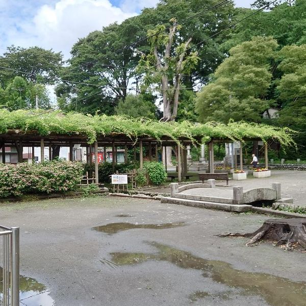 拝島公園 - トップ画像