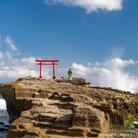 白浜神社 - 投稿画像0