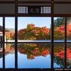 宝徳寺 - トップ画像