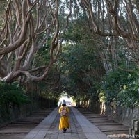 酒列磯前神社 - 投稿画像0