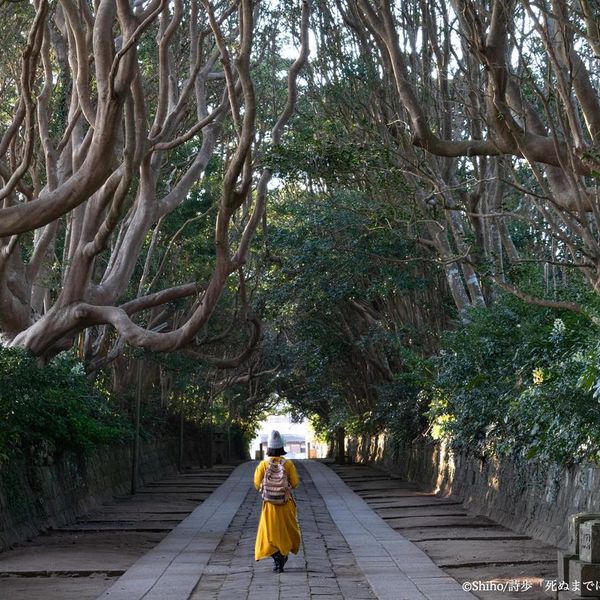 酒列磯前神社 - おすすめ画像