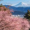 徳願寺山 - トップ画像