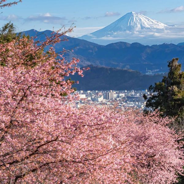 徳願寺山 - おすすめ画像