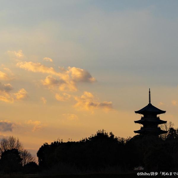 備中国分寺 - おすすめ画像