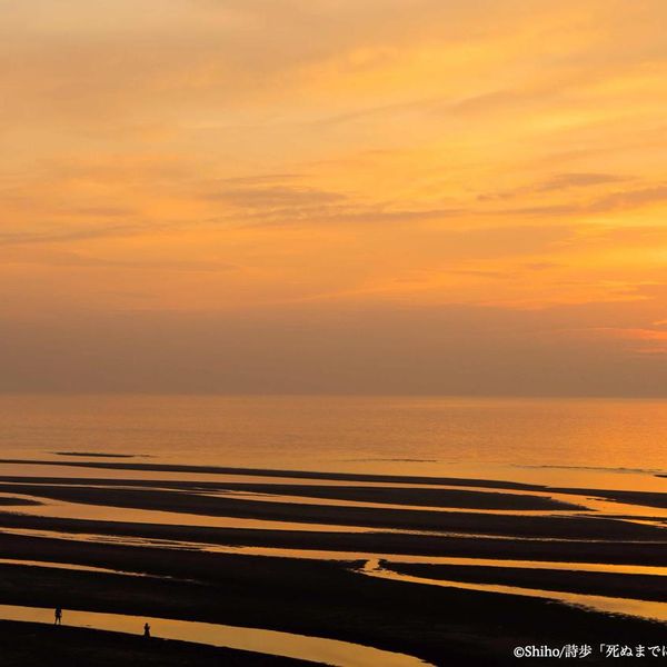 日本一の夕日 真玉海岸 - おすすめ画像