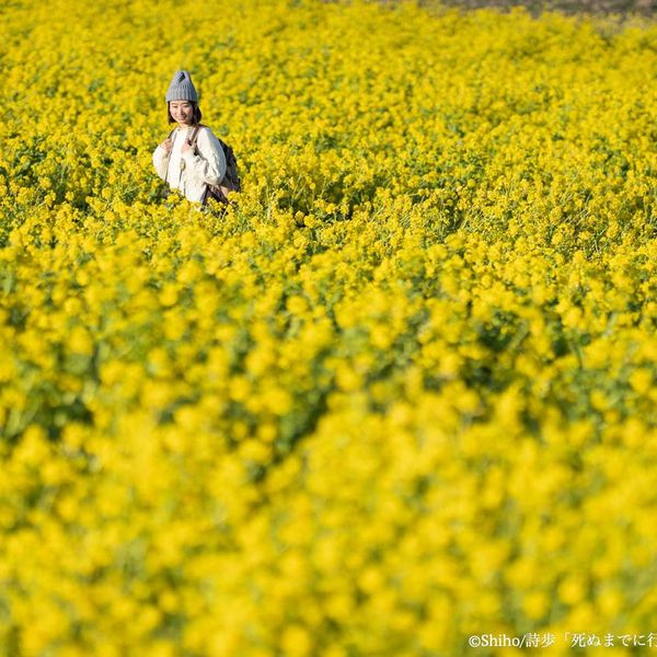 あわじ花さじき - おすすめ画像