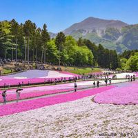 羊山公園 - 投稿画像0