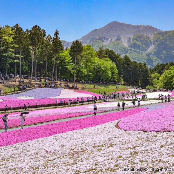 羊山公園 - トップ画像