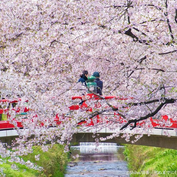 唐沢川 - おすすめ画像