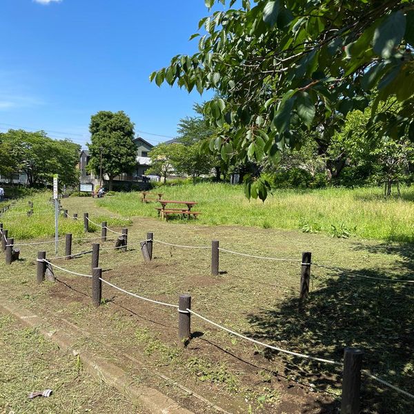 神田公園 - おすすめ画像