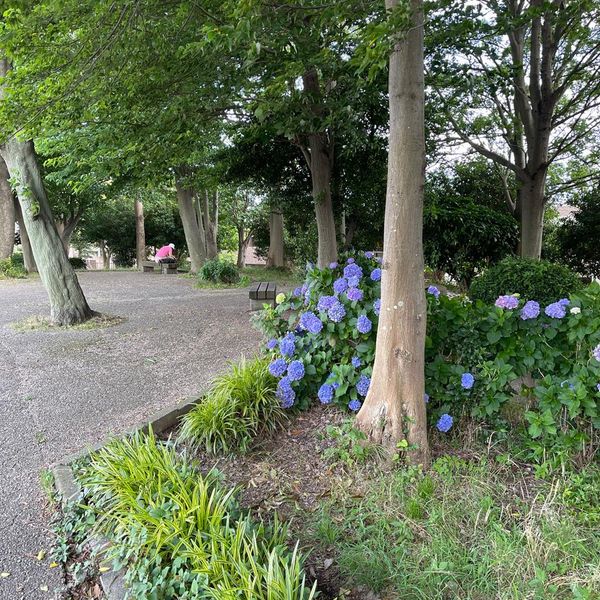 中沢町清水ケ丘公園 - おすすめ画像