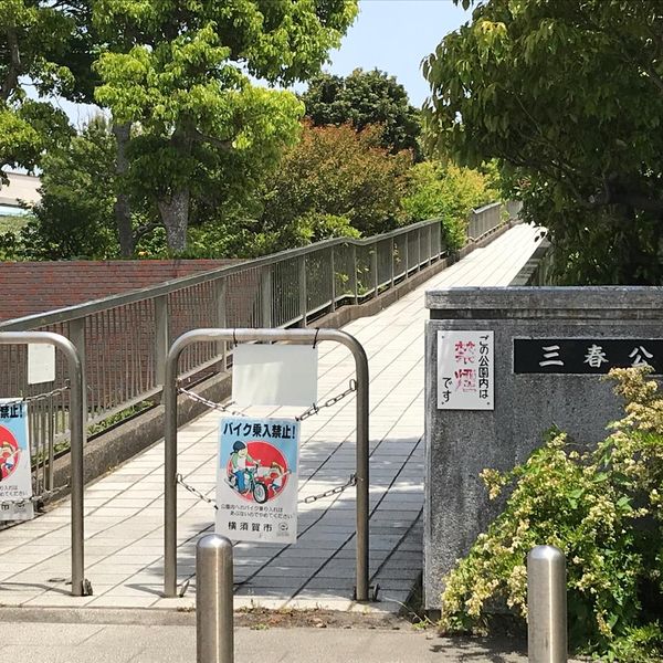 三春公園 - トップ画像