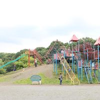 小山総合公園 - 投稿画像0