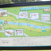 小山総合公園　水上アスレチック - 投稿画像3