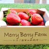 Merry Berry Farm(メリーベリーファーム) - トップ画像