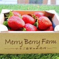 Merry Berry Farm(メリーベリーファーム) - 投稿画像0