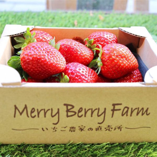 Merry Berry Farm(メリーベリーファーム) - トップ画像