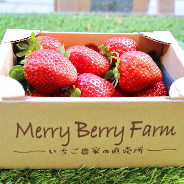 Merry Berry Farm(メリーベリーファーム) - おすすめ画像