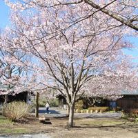 天平の丘公園 - 投稿画像3