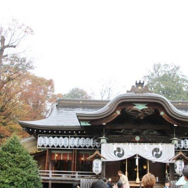 須賀神社 - おすすめ画像