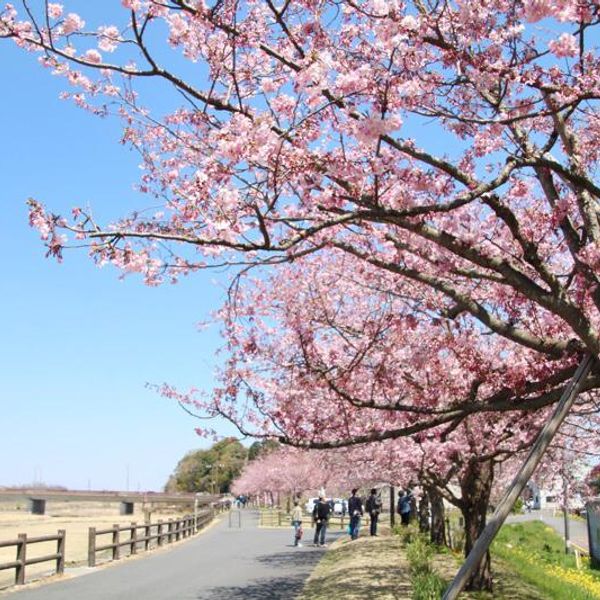 大沼親水公園 - おすすめ画像