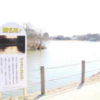 大沼親水公園 - 投稿画像2