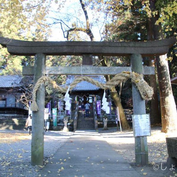 星宮神社 - おすすめ画像