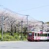 飛鳥山公園 - トップ画像