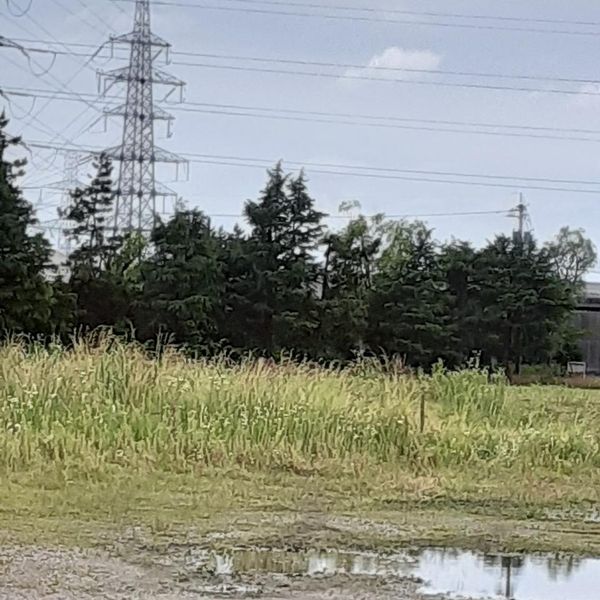 射水市堀岡緑地 - トップ画像