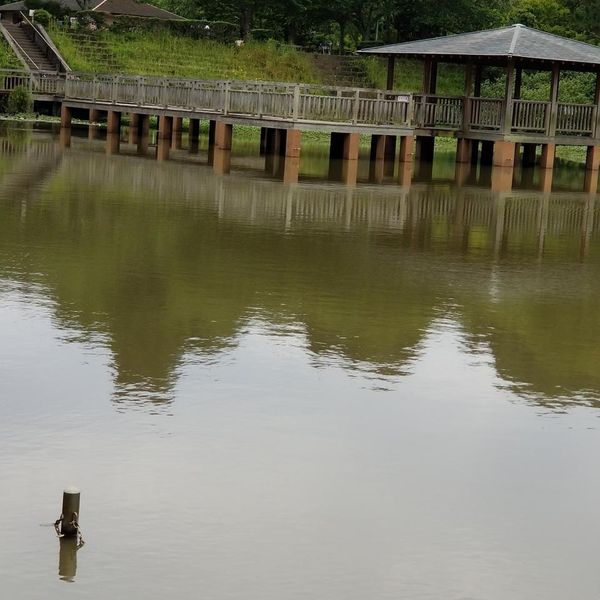 清水船越堤公園 - トップ画像