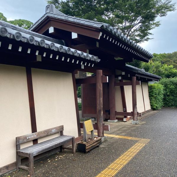 万葉の森公園 - トップ画像