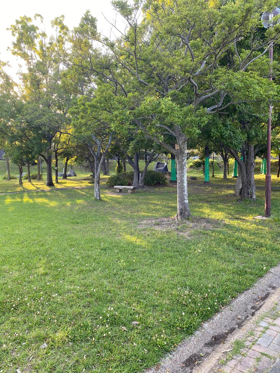 安久路公園（公園） | MEQQE（めっけ）