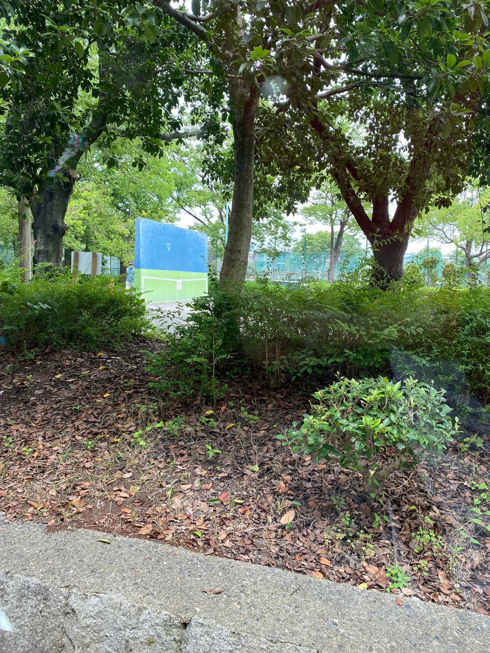 高畑公園（公園） | MEQQE（めっけ）